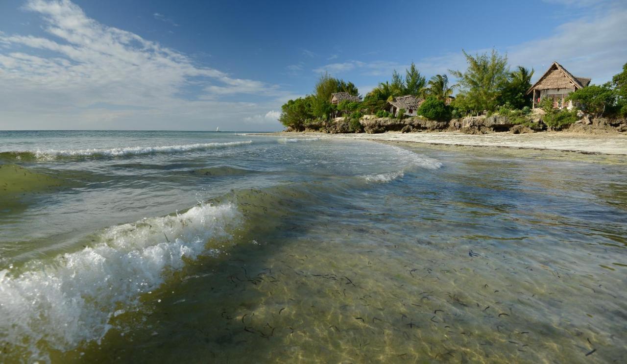 Afya Village At The Sea Michamvi Buitenkant foto