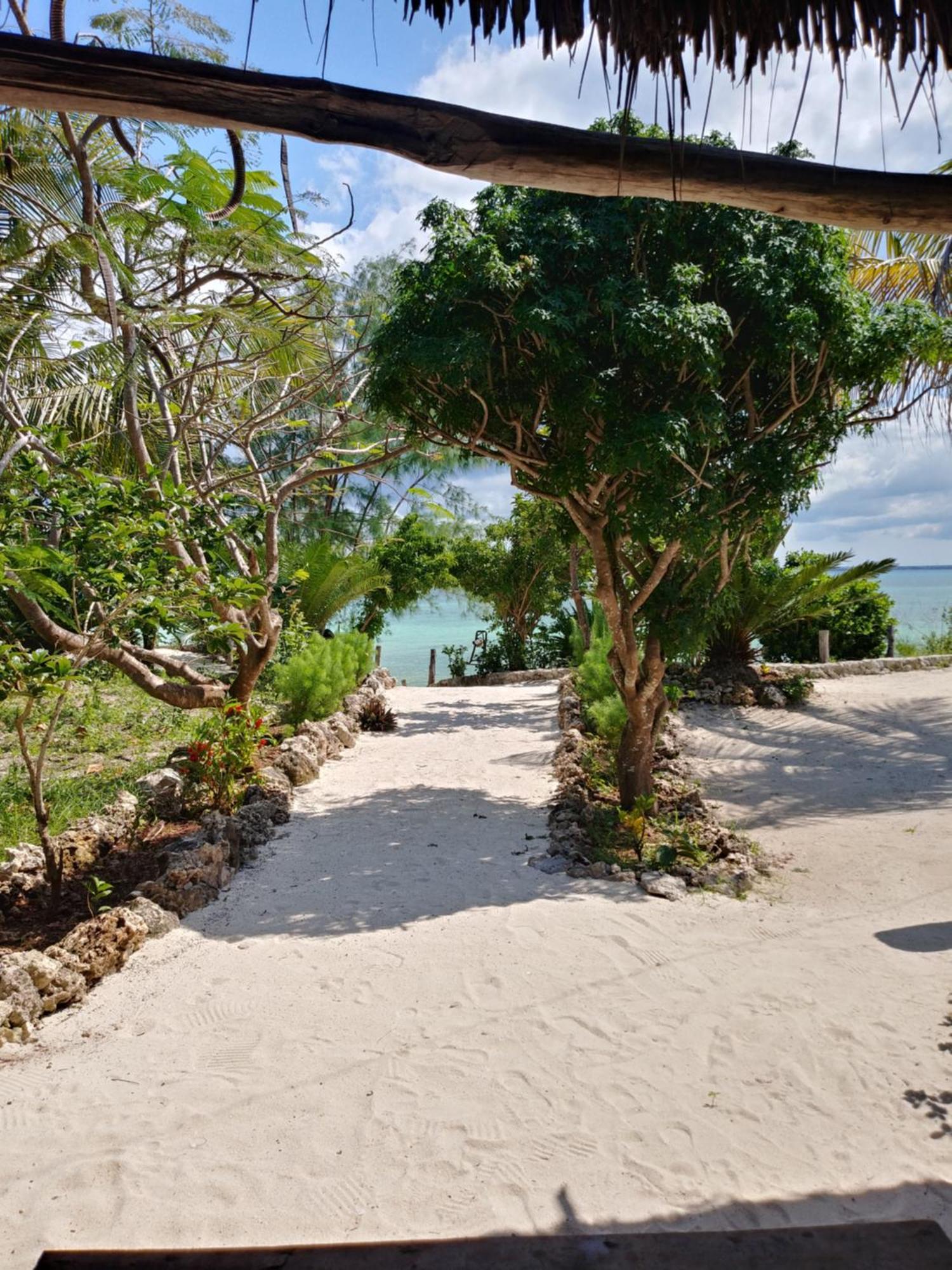 Afya Village At The Sea Michamvi Kamer foto